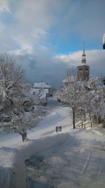 Chalet La Source Ξενοδοχείο Saint-Nicolas-la-Chapelle  Εξωτερικό φωτογραφία